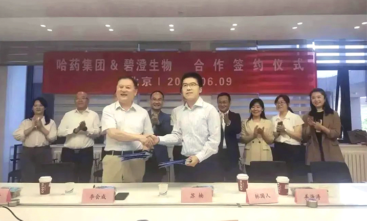 哈藥攜手清華大學,強強聯合共創膠原蛋白行業未來