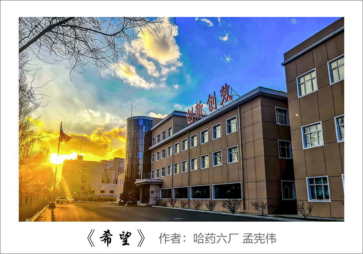 【迎國慶 展風(fēng)采】我眼中的哈藥&mdash;&mdash;職工攝影大賽作品展示！